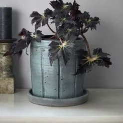 House Doctor Julian Bloempot - Grijs/groen 8 House Doctor Julian Bloempot - Grijs/groen -DECORATIE Winkel house doctor julian bloempot grijs groen 1