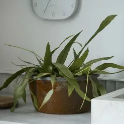 House Doctor Whai Bloempot - Mosterd -DECORATIE Winkel house doctor whai bloempot mosterd 1