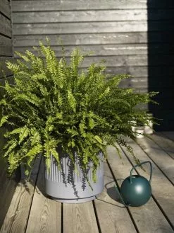 Hubsch Bloempot Set Donkergrijs -DECORATIE Winkel hubsch bloempot set donkergrijs 2