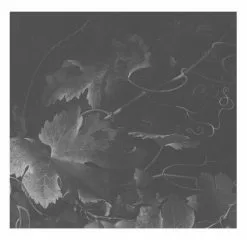 KEK Amsterdam Black & White Flowers Behang 10 KEK Amsterdam Black & White Flowers Behang -DECORATIE Winkel kek amsterdam black white flowers behang 3