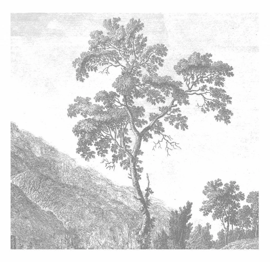 KEK Amsterdam Engraved Landscapes Behang 6 KEK Amsterdam Engraved Landscapes Behang - Afbeelding 4