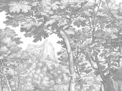 KEK Amsterdam Engraved Landschappen Behang Grijs WP-780 300x280cm