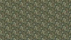 KEK Amsterdam Underwater Jungle Fotobehang WP-691 - 194,8 X 280 Cm 14 KEK Amsterdam Underwater Jungle Fotobehang WP-691 - 194,8 X 280 Cm -DECORATIE Winkel kek amsterdam underwater jungle fotobehang wp 691 5