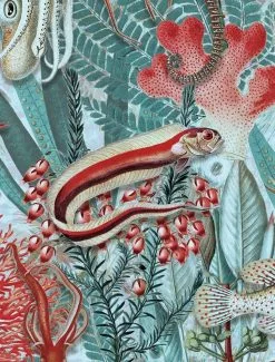 KEK Amsterdam Underwater Jungle Fotobehang WP-693 - 292,2 X 280 Cm -DECORATIE Winkel kek amsterdam underwater jungle fotobehang wp 693 1