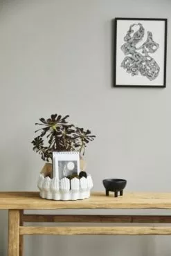 Nordal Anise Schaal - Wit 8 Nordal Anise Schaal - Wit -DECORATIE Winkel nordal anise schaal wit 2