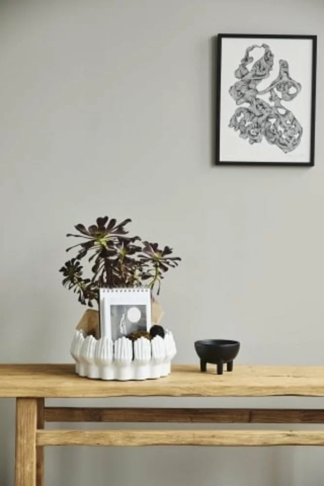 Nordal Anise Schaal - Wit 5 Nordal Anise Schaal - Wit - Afbeelding 3