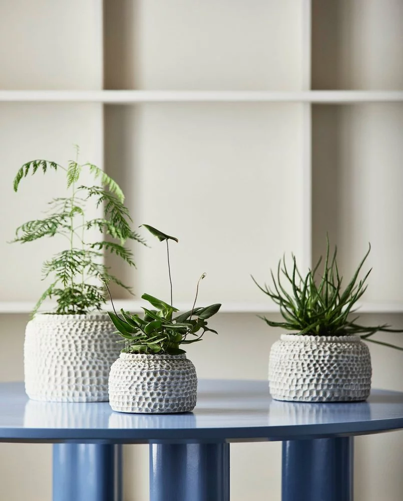 Nordal Aoba Pot S - 6497 5 Nordal Aoba Pot S - 6497 - Afbeelding 3