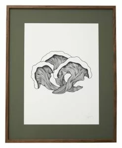 Nordal Fungi Illustration - Donker Eiken