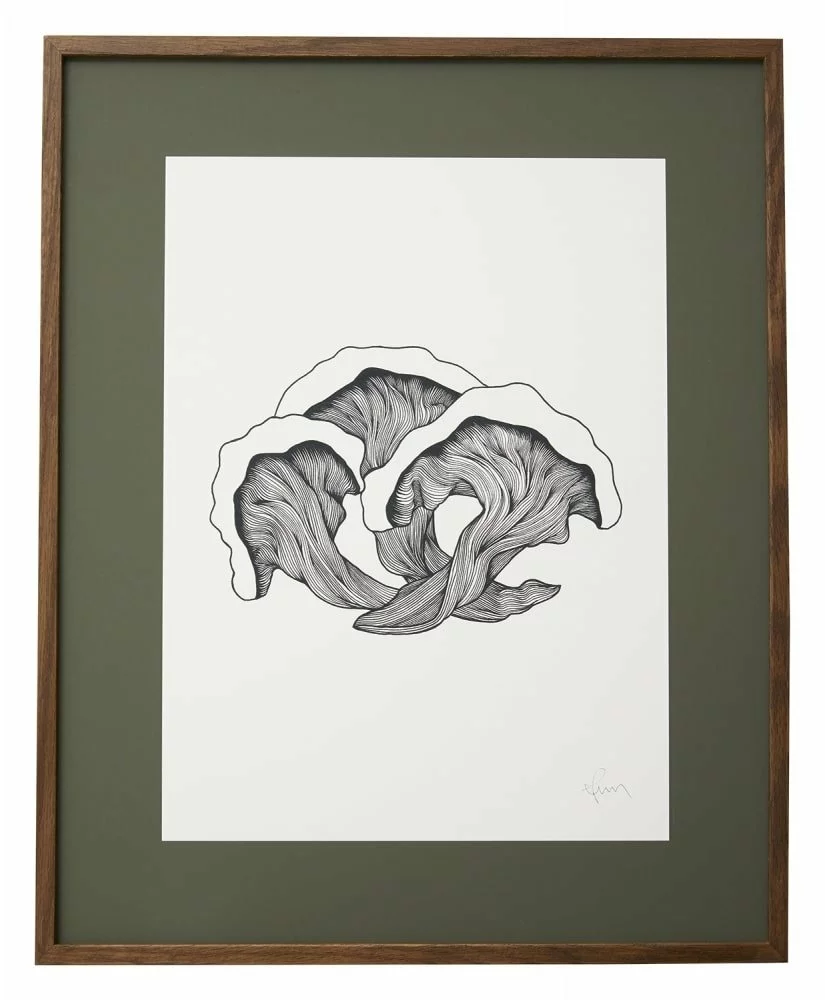 Nordal Fungi Illustration - Donker Eiken 3 Nordal Fungi Illustration - Donker Eiken