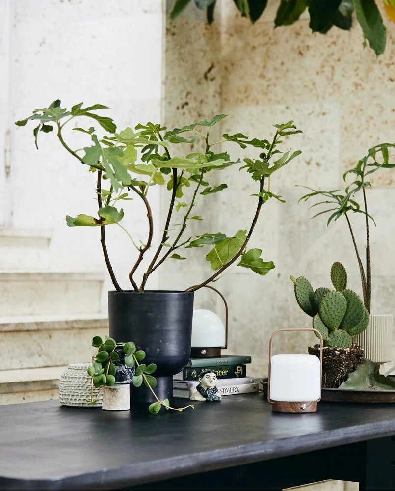 Nordal Galoa Bloempot S - 8820 4 Nordal Galoa Bloempot S - 8820 - Afbeelding 2