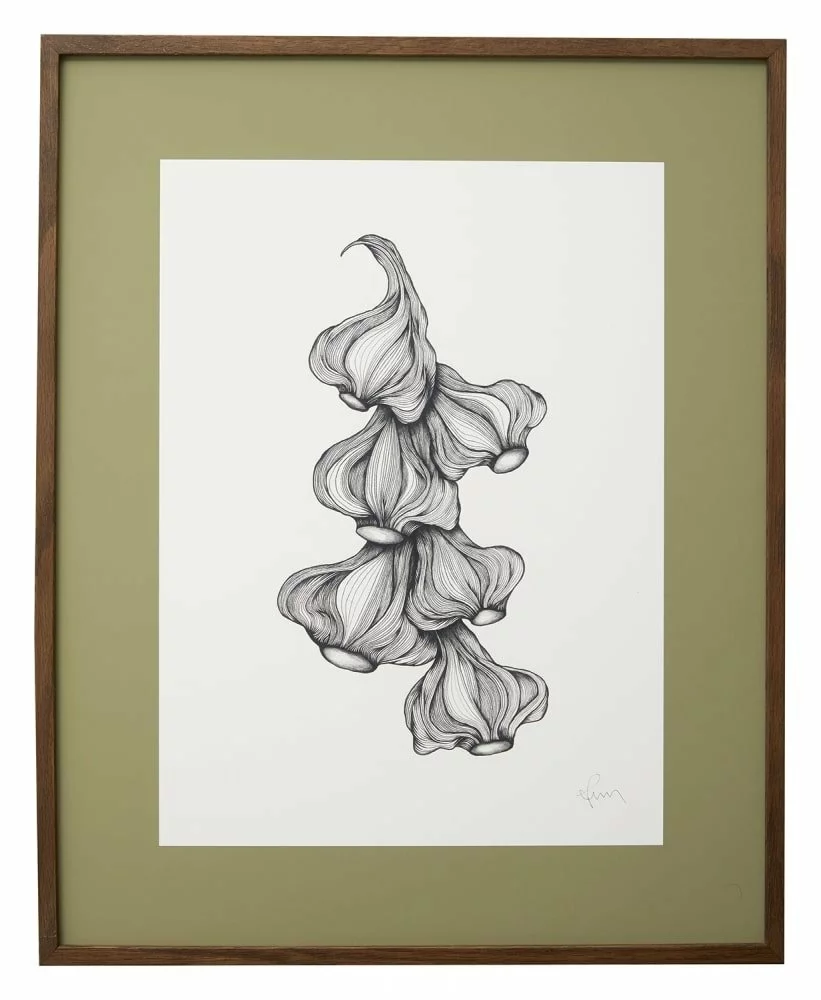 Nordal Garlic Illustration - Donker Eiken 3 Nordal Garlic Illustration - Donker Eiken