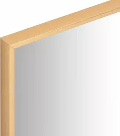 Furniture Limited - Spiegel 60x40 Cm Goudkleurig -DECORATIE Winkel 1059x1200