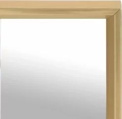 Furniture Limited - Spiegel 70x50 Cm Goudkleurig 9 Furniture Limited - Spiegel 70x50 Cm Goudkleurig -DECORATIE Winkel 1200x1169 1