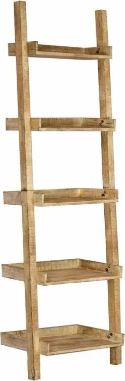 Furniture Limited - Ladderkast 75x37x205 Cm Massief Mangohout Bruin