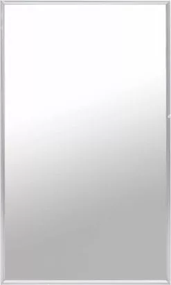 Furniture Limited - Spiegel 100x60 Cm Zilverkleurig