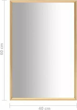 Furniture Limited - Spiegel 60x40 Cm Goudkleurig -DECORATIE Winkel 839x1200